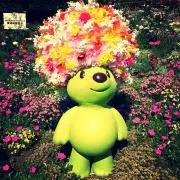 星の画像