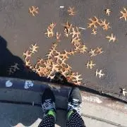 uuの画像