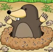 ドゥドジの画像