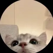 うるの画像