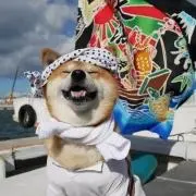 やすぐちえみの画像