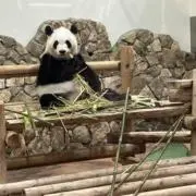 さき☀️おまとめ割ありの画像