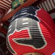みゃーも