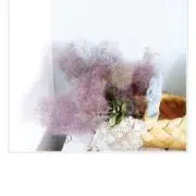 みかづきの画像