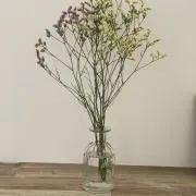 もの画像