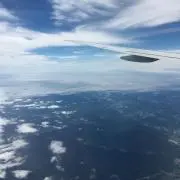てるの画像