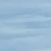 アオゾラの画像