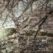 M Mの画像