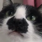 クアトロ