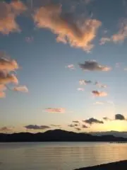 みーさんの画像