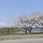 長男の嫁の画像