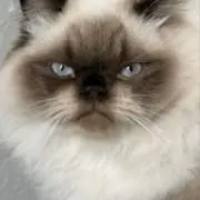ひろとの画像