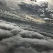 かいわれ