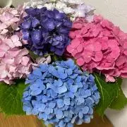 プロフ必読！気軽にコメント下さい^ ^の画像