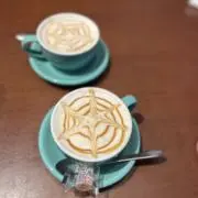 ハレの画像