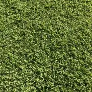 リタンシの画像