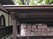 招きニャンコの画像