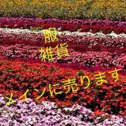 Yu-chun *プロフ必須の画像