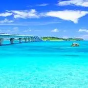 VITA FELICEの画像