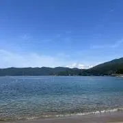 reo