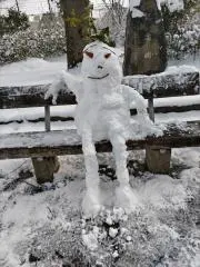 shujiの画像