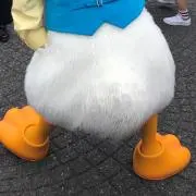 バビの画像