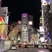 3luuuyの画像