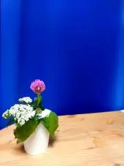 Capricorn.utaの画像