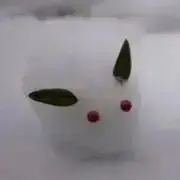雪うさぎの画像