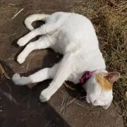 you_uoyの画像