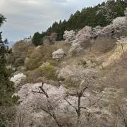 おむれいすの画像