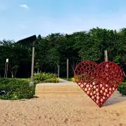 大豆の画像