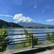クロの画像