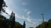 みーママの画像