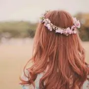 Pの画像