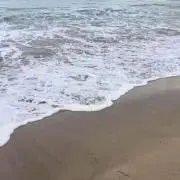 AOIの画像