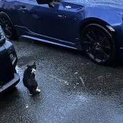 カスティエル