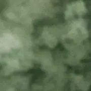パルル
