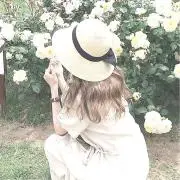 sの画像