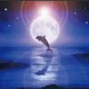 ふみ