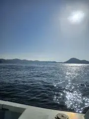 やくも