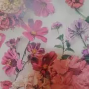 sunuchanの画像