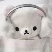 P.B.の画像