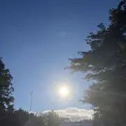 SYの画像