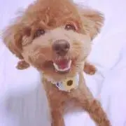 あっぷる⭐︎の画像
