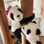 ぱんだの画像