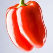 SIIYA