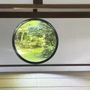 ゆーの画像