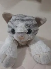 伴四郎の画像