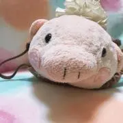 ぶうちの画像
